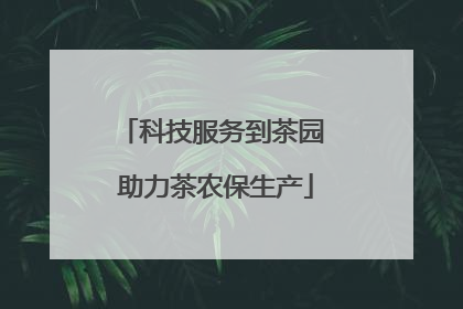 科技服务到茶园 助力茶农保生产
