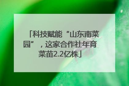 科技赋能“山东南菜园”，这家合作社年育菜苗2.2亿株