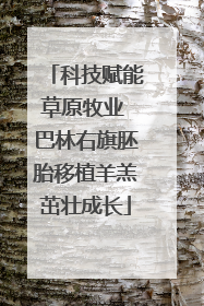 科技赋能草原牧业 巴林右旗胚胎移植羊羔茁壮成长