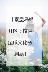 秦皇岛经开区：校园足球文化节启幕