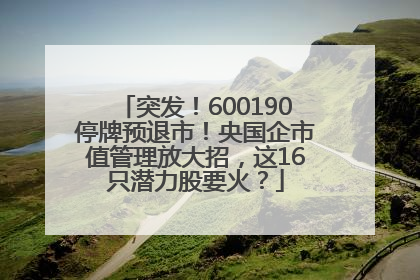 突发！600190停牌预退市！央国企市值管理放大招，这16只潜力股要火？