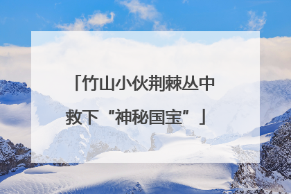 竹山小伙荆棘丛中救下“神秘国宝”
