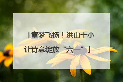 童梦飞扬！洪山十小让诗意绽放“六一”