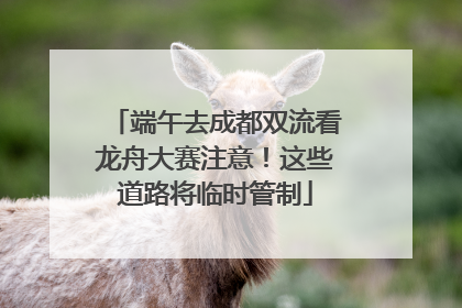 端午去成都双流看龙舟大赛注意！这些道路将临时管制