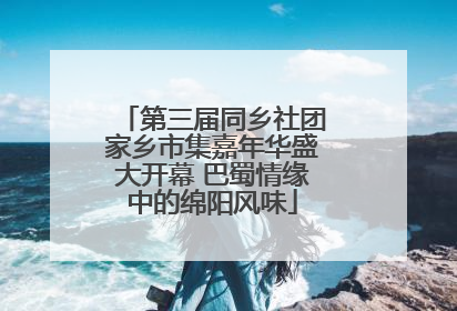 第三届同乡社团家乡市集嘉年华盛大开幕 巴蜀情缘中的绵阳风味