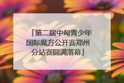 第二届中匈青少年国际魔方公开赛郑州分站赛圆满落幕
