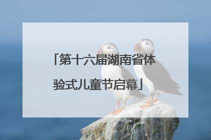第十六届湖南省体验式儿童节启幕