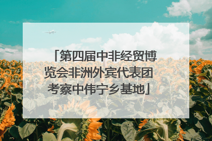 第四届中非经贸博览会非洲外宾代表团考察中伟宁乡基地