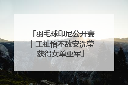 羽毛球印尼公开赛｜王祉怡不敌安洗莹 获得女单亚军