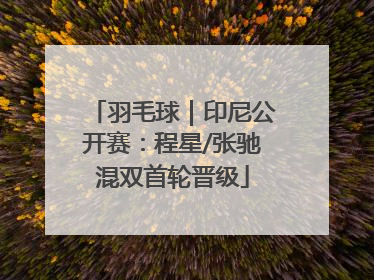 羽毛球｜印尼公开赛：程星/张驰混双首轮晋级
