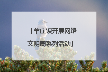 羊庄镇开展网络文明周系列活动