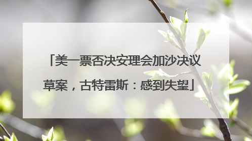 美一票否决安理会加沙决议草案，古特雷斯：感到失望
