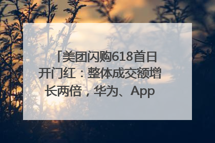 美团闪购618首日开门红：整体成交额增长两倍，华为、Apple、沃尔玛等近800个品牌翻倍增长