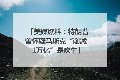 美媒爆料：特朗普曾怀疑马斯克“削减1万亿”是吹牛