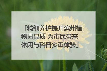 精细养护提升滨州植物园品质 为市民带来休闲与科普多重体验