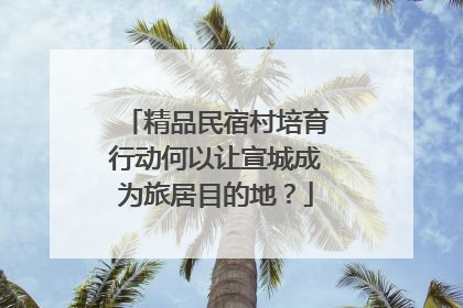 精品民宿村培育行动何以让宣城成为旅居目的地？