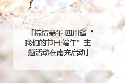 粽情端午 四川省“我们的节日·端午”主题活动在南充启动