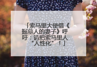 索马里大使借《掘墓人的妻子》呼吁：请把索马里人“人性化”！