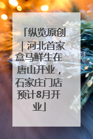 纵览原创｜河北首家盒马鲜生在唐山开业，石家庄门店预计8月开业