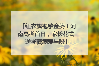 红衣旗袍擎金葵！河南高考首日，家长花式送考藏满爱与盼