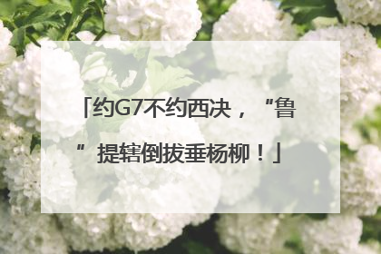 约G7不约西决，“鲁”提辖倒拔垂杨柳！