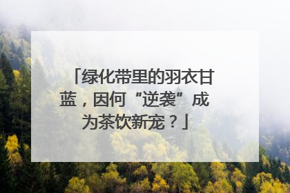 绿化带里的羽衣甘蓝，因何“逆袭”成为茶饮新宠？