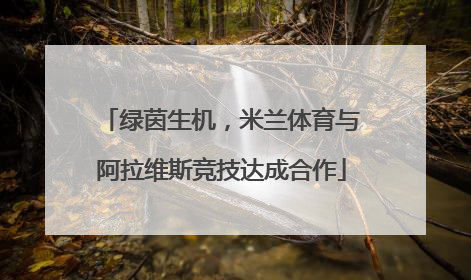 绿茵生机，米兰体育与阿拉维斯竞技达成合作