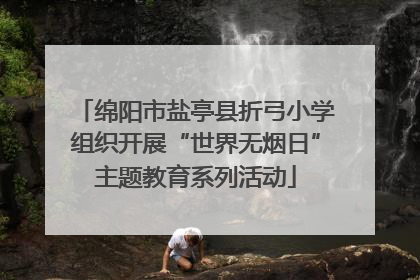 绵阳市盐亭县折弓小学组织开展“世界无烟日”主题教育系列活动