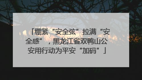绷紧“安全弦”拉满“安全感”，黑龙江省双鸭山公安用行动为平安“加码”