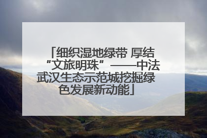 细织湿地绿带 厚结“文旅明珠”——中法武汉生态示范城挖掘绿色发展新动能
