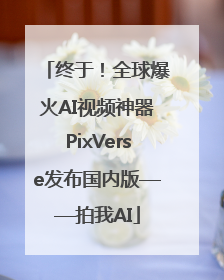 终于！全球爆火AI视频神器PixVerse发布国内版——拍我AI
