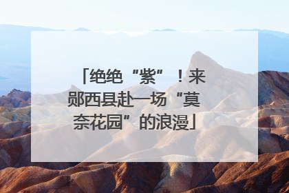 绝绝“紫”！来郧西县赴一场“莫奈花园”的浪漫
