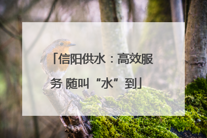 信阳供水：高效服务 随叫“水”到