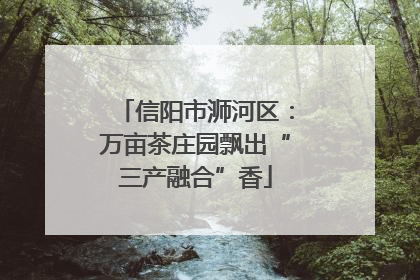 信阳市浉河区：万亩茶庄园飘出“三产融合”香