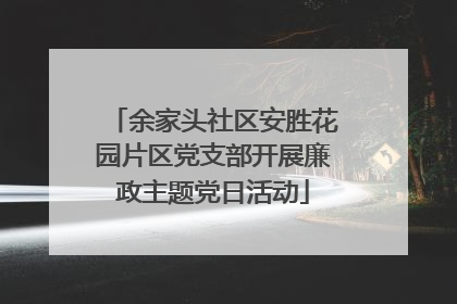余家头社区安胜花园片区党支部开展廉政主题党日活动