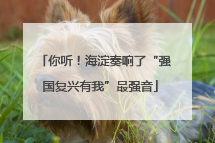 你听！海淀奏响了“强国复兴有我”最强音