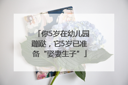 你5岁在幼儿园蹦跶，它5岁已准备“娶妻生子”