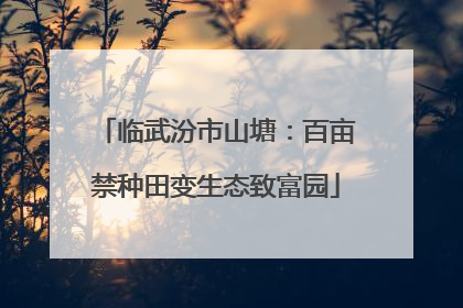 临武汾市山塘：百亩禁种田变生态致富园
