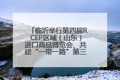 临沂举行第四届RCEP区域（山东）进口商品博览会、共建“一带一路”第三届临沂商城国际采购商大会新闻发布会