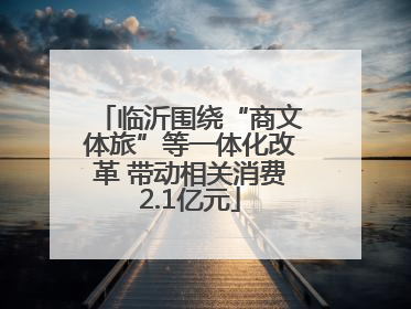 临沂围绕“商文体旅”等一体化改革 带动相关消费2.1亿元