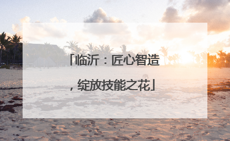 临沂：匠心智造，绽放技能之花
