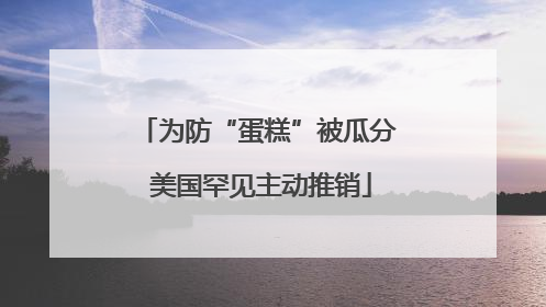为防“蛋糕”被瓜分 美国罕见主动推销