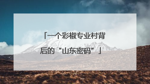 一个彩椒专业村背后的“山东密码”