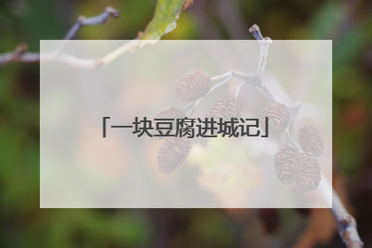 一块豆腐进城记