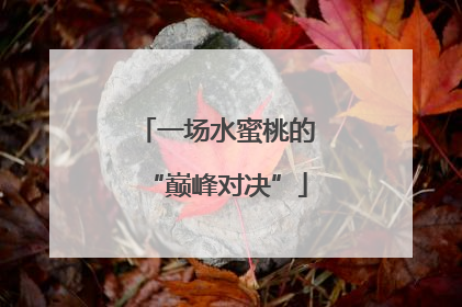 一场水蜜桃的“巅峰对决”