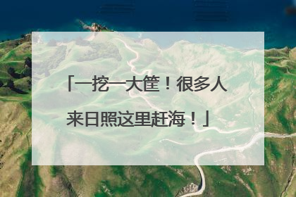 一挖一大筐！很多人来日照这里赶海！