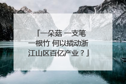 一朵菇 一支笔 一根竹 何以撬动浙江山区百亿产业？