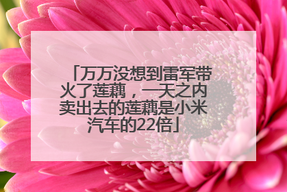万万没想到雷军带火了莲藕，一天之内卖出去的莲藕是小米汽车的22倍
