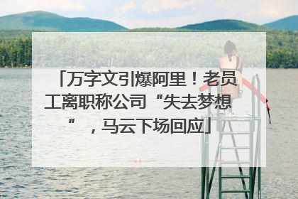 万字文引爆阿里！老员工离职称公司“失去梦想”，马云下场回应