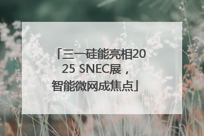 三一硅能亮相2025 SNEC展，智能微网成焦点
